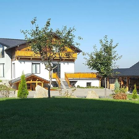 Villa Swiss Sacele Luaran gambar