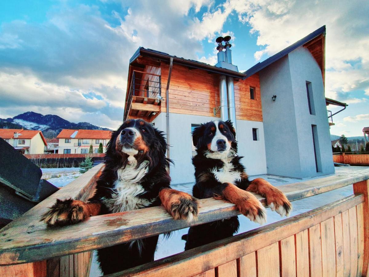 Villa Swiss Sacele Luaran gambar